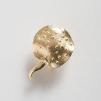 Piercing Arraia Xingu