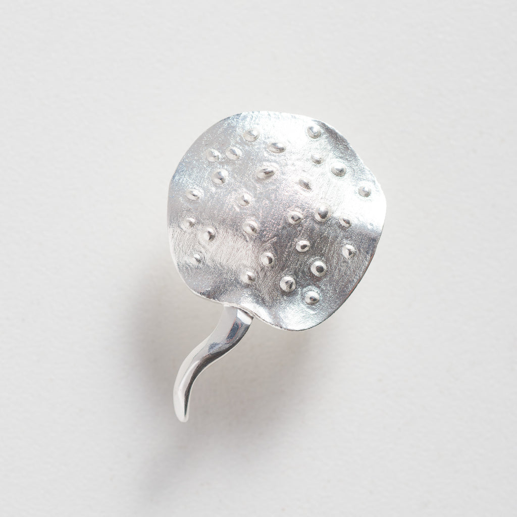 Piercing Arraia Xingu