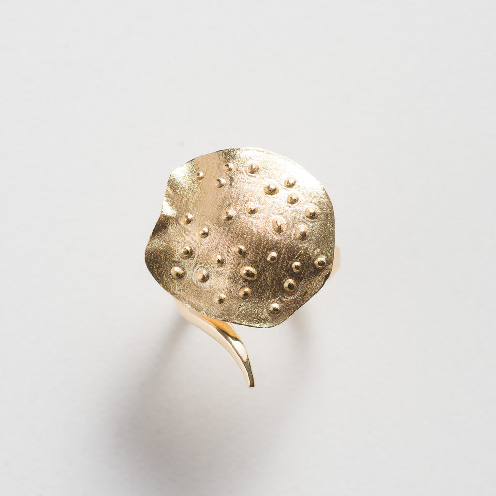 Anel Arraia Xingu Regulável