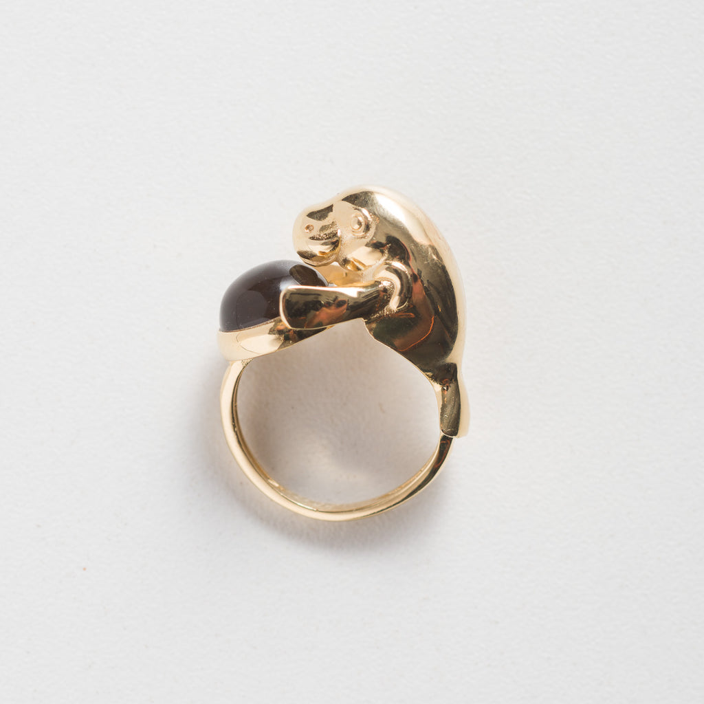 Anel Peixe-Boi-Da-Amazônia Regulável